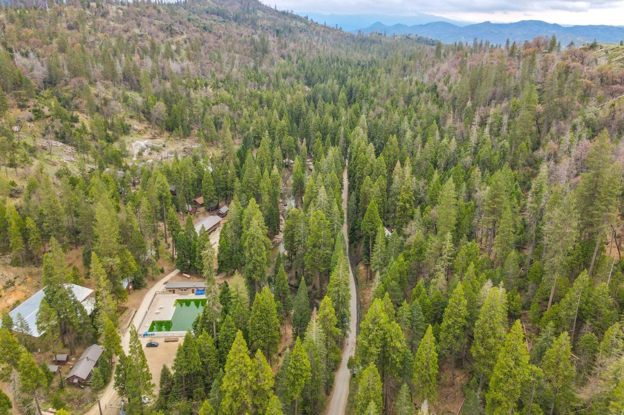 Enchanting Creekside Cabin Near Kings Canyon Park! Badger ภายนอก รูปภาพ